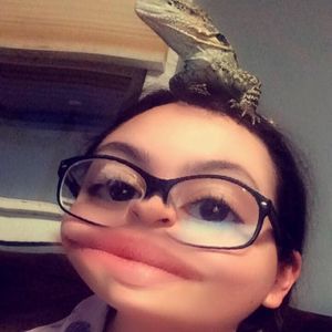 Meet your Posher, Bustamove